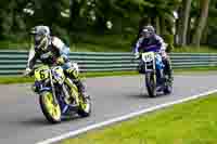 cadwell-no-limits-trackday;cadwell-park;cadwell-park-photographs;cadwell-trackday-photographs;enduro-digital-images;event-digital-images;eventdigitalimages;no-limits-trackdays;peter-wileman-photography;racing-digital-images;trackday-digital-images;trackday-photos